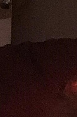 Caroline Rogan Obituary - Falls Church, VA