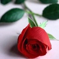 Obituary of Alice Collum