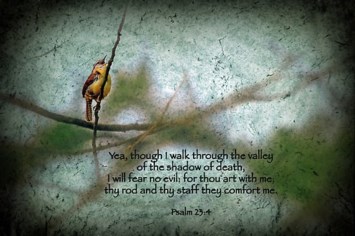 Obituary of Fran Marlene Head