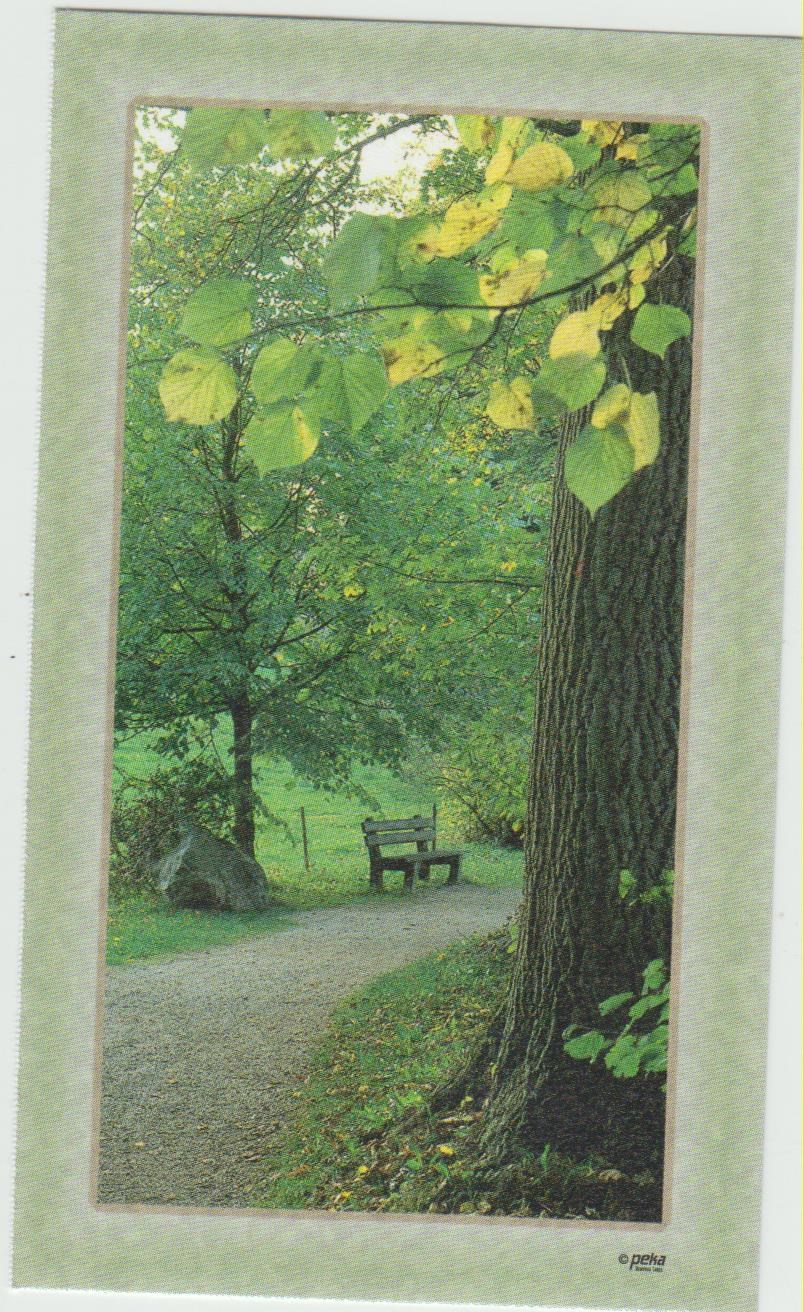 Obituary of Ernestine Goodwin Shaver