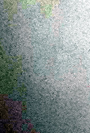 Joy Reeves Obituary - Belton, MO