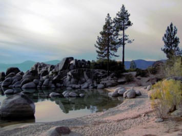 Obituary of John Dwight Laufman