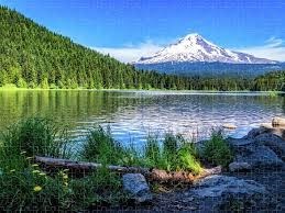 Obituary of Martin Allen Berg