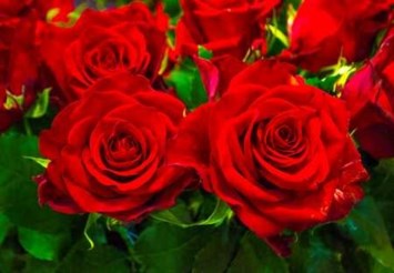 Obituary of Betty L Hart