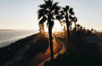 Obituary of Maria Elena McCoy