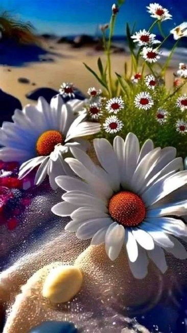 Obituary of Lois Ipson Green