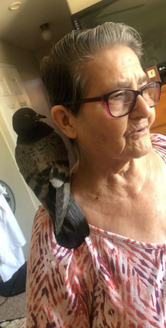 Obituary of Rebeca Rodriguez