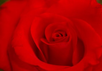 Obituary of Mary Humphrey