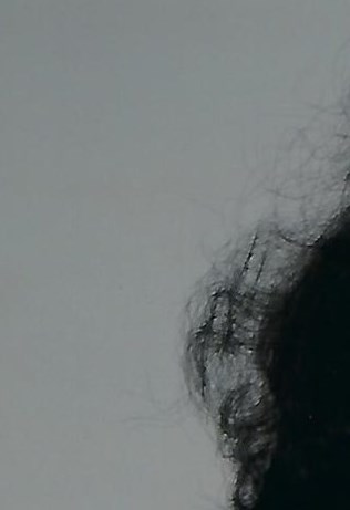 Suzanne Rivest Obituary - Montreal, QC