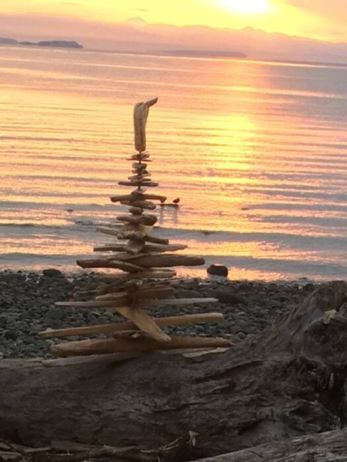 Obituary of Michael James POOLE