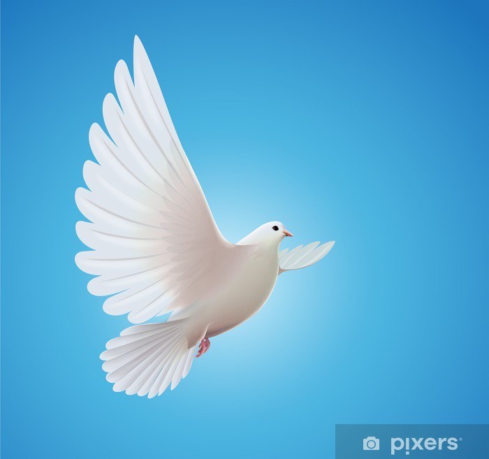 Avis de décès de Shirley M Moore