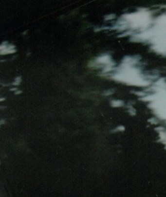 Yvette Koiner-Sprinkle Obituary - Dallas, TX