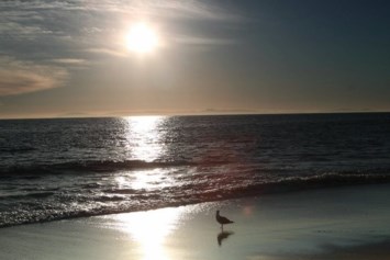 Obituary of Harley William Dell