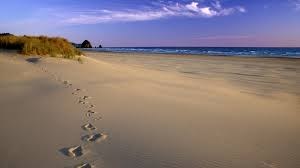 Obituary of Mary Elizabeth Curran