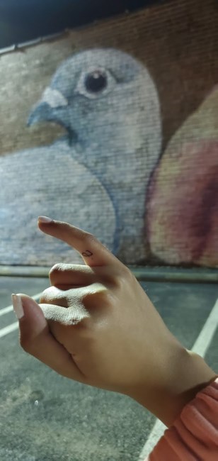 jazz haaren obituary falls church va