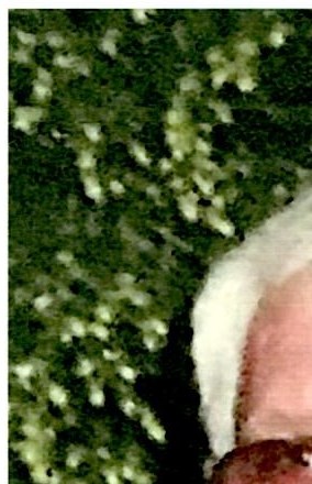 Thomas David Staton Obituary Beckley, WV