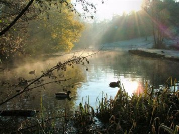 Obituary of Marvin Paul Allen