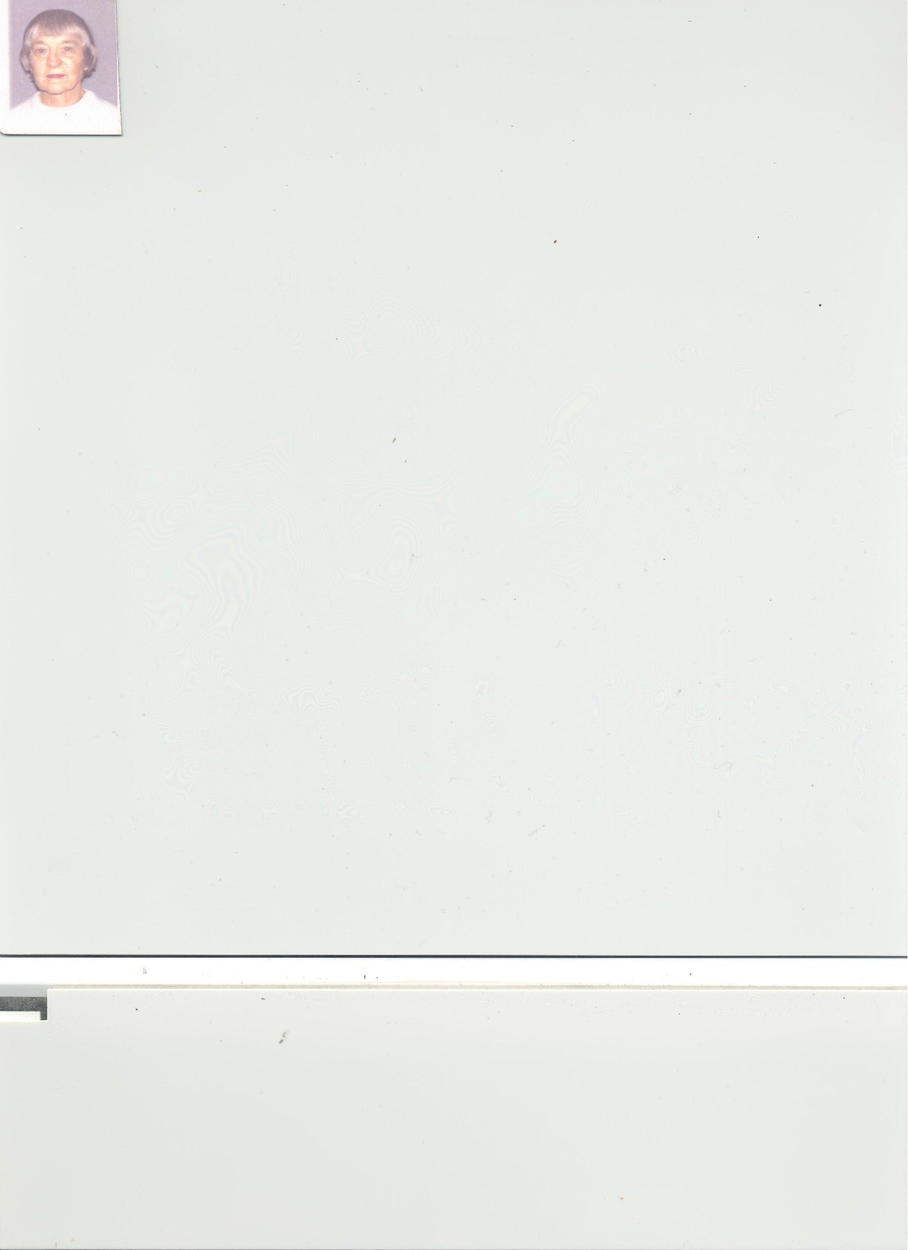 Obituary of Olympia "Lee" DeIulio