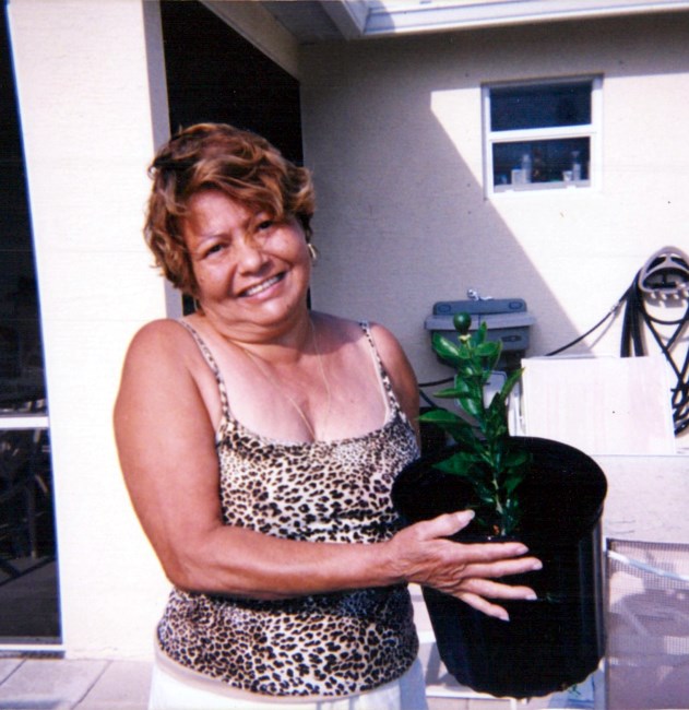 Obituary of Esperanza Navarro