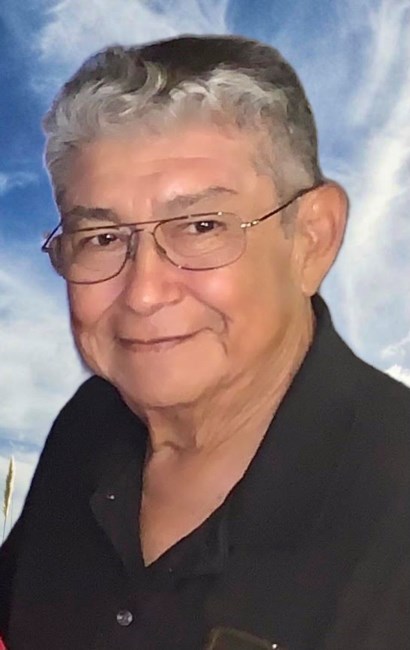 Obituary of Domingo Luna Jr.