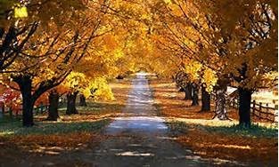 Obituary of John Arnold Christensen