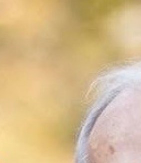 Stephen Reed Obituary - Conroe, TX
