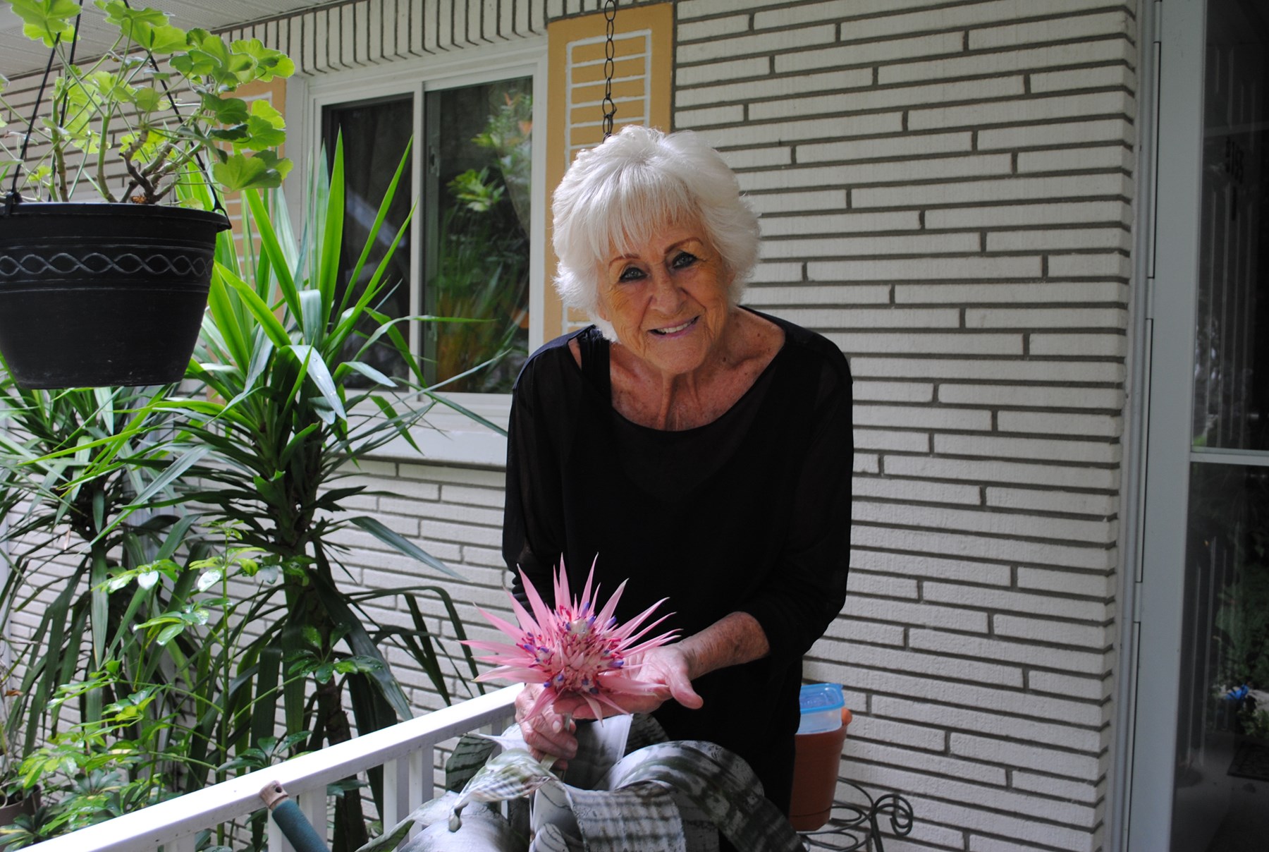 Obituary of Sue Ann Adams Wakefield Holly