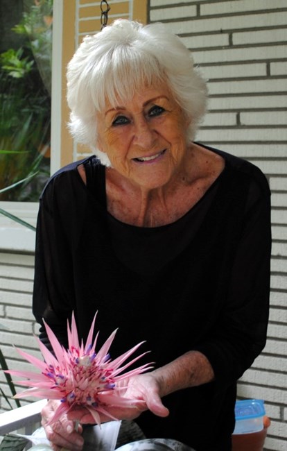 Obituary of Sue Ann Adams Wakefield Holly