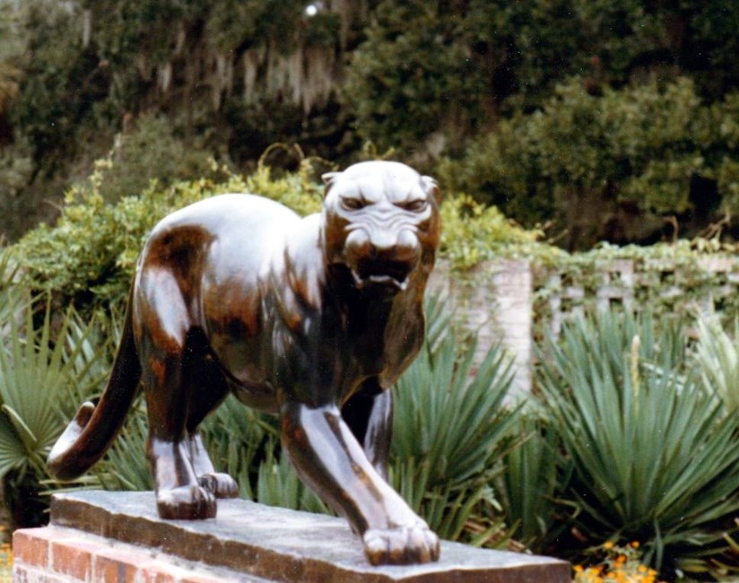 Obituary of Elaine Shields Holmes