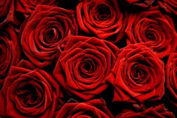 Obituary of Marvin J. Bourgeois