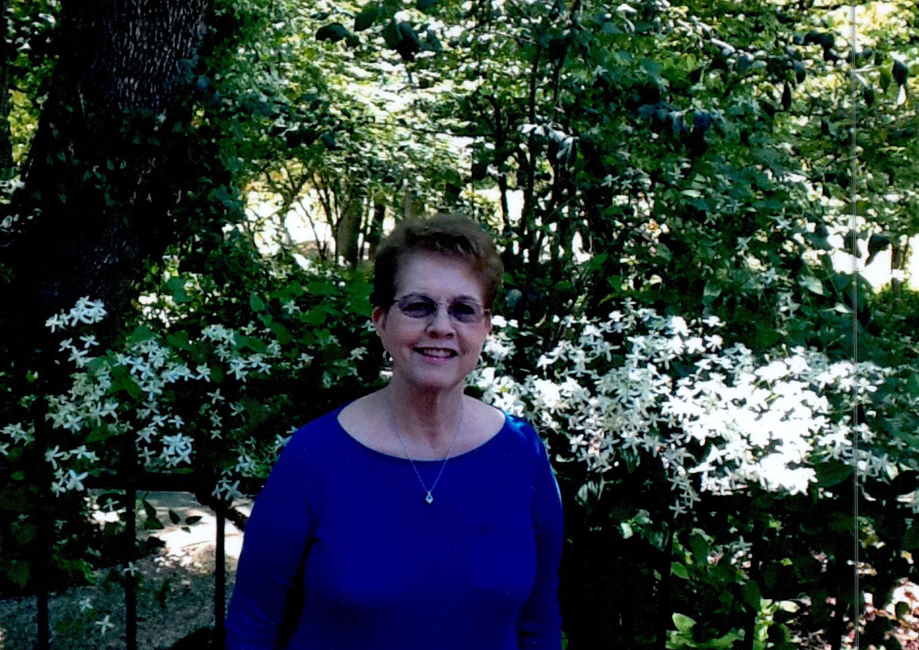 Obituary of Frances Janet Mayberry