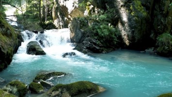 Obituary of George Junior Roe