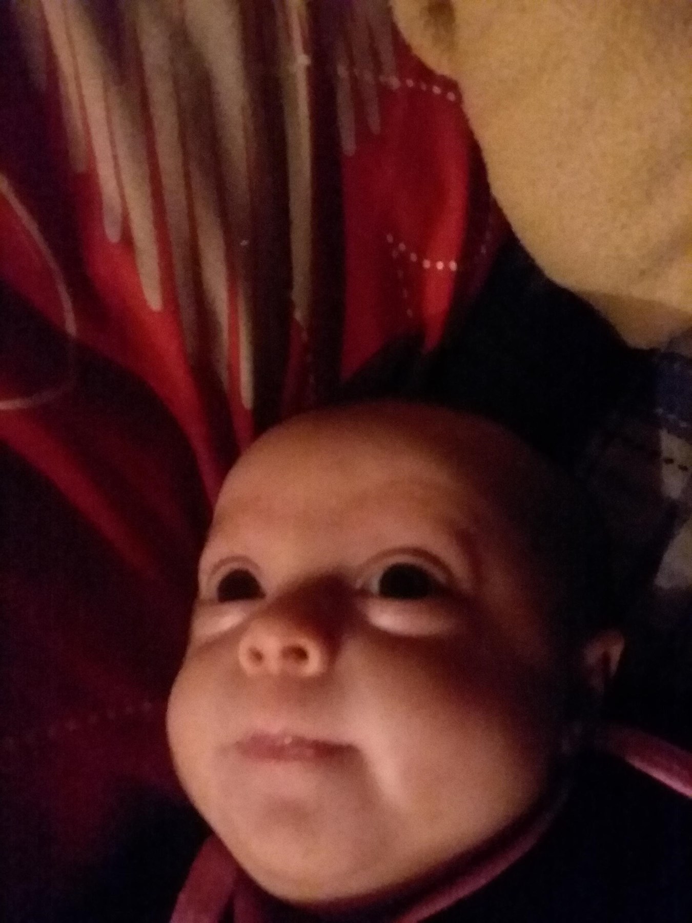 Karlie Stonestreet Obituary Texarkana Tx