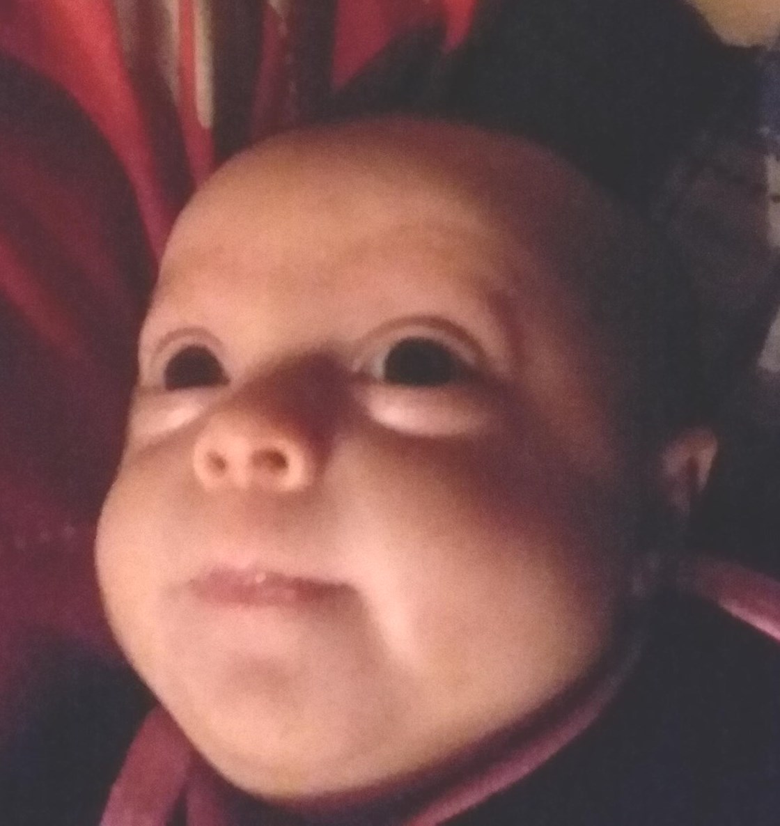 Karlie Stonestreet Obituary Texarkana Tx