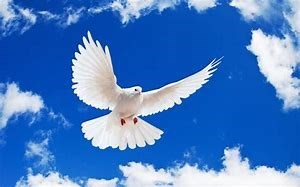 Obituary of Lloyd Ronald Hastings Jr.