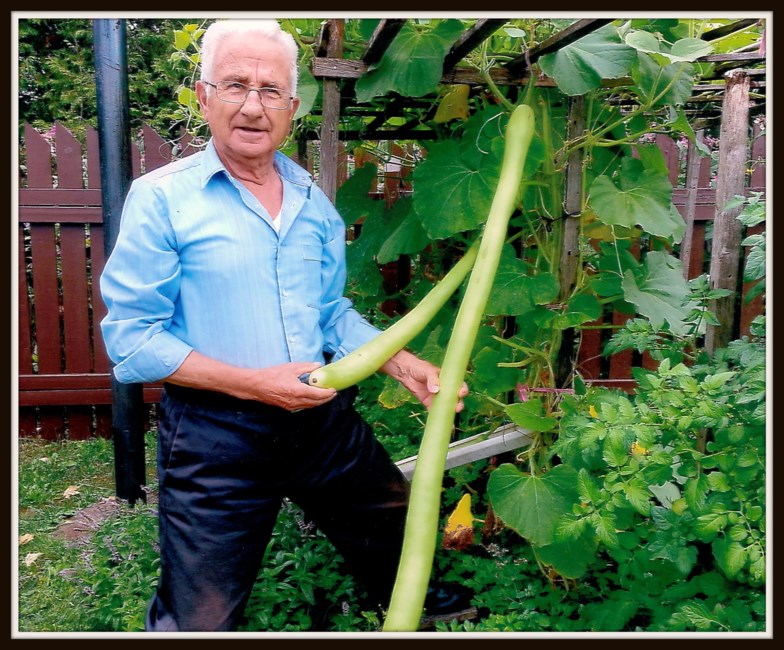 Obituary of Lucio Severini