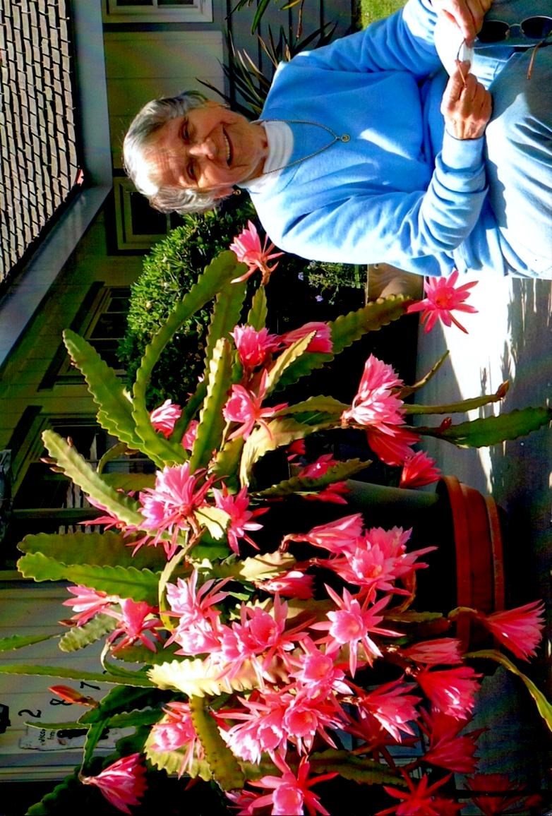 Obituary of Virginia L. Allen