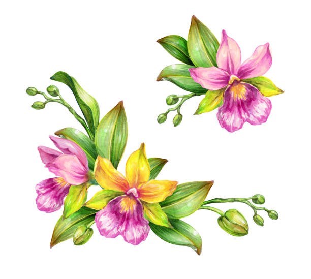 Obituary of Theresa Thompson Hodges