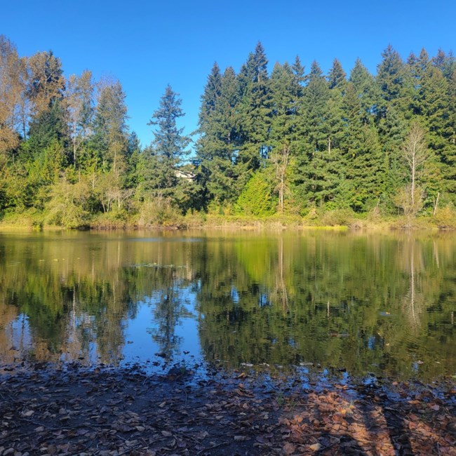 Obituary of Larry Craig Rowland