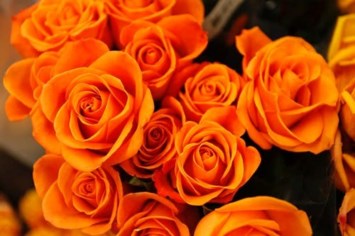 Obituary of Barbara McDonald
