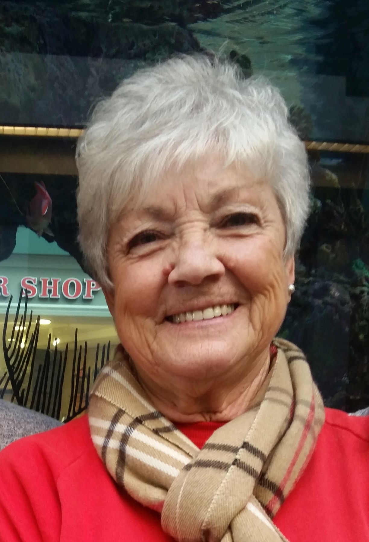 Carol Ackerman Obituary