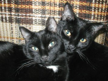 Obituary of June B Costello