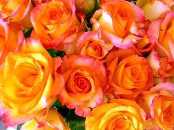 Obituary of Melissa A. Parrott