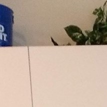 Barbara Stab Obituary - Spring Hill, FL