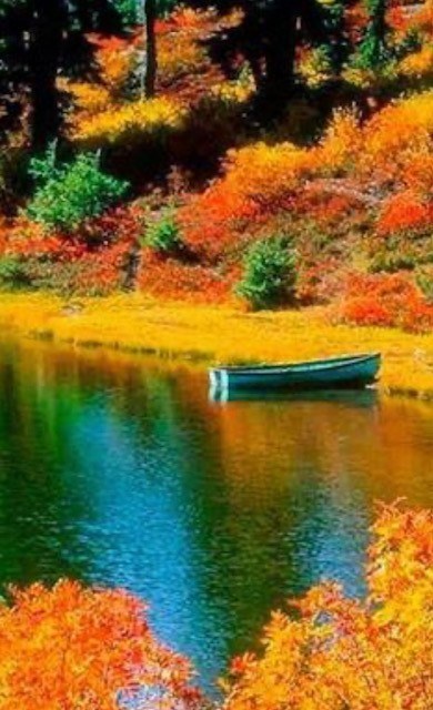 Obituario de Percy S. Witt