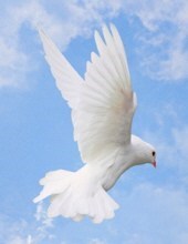 Obituary of Catherine "Cathy" Brennan Mitchell