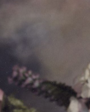 Eleanor Deater Obituary Muskegon, MI