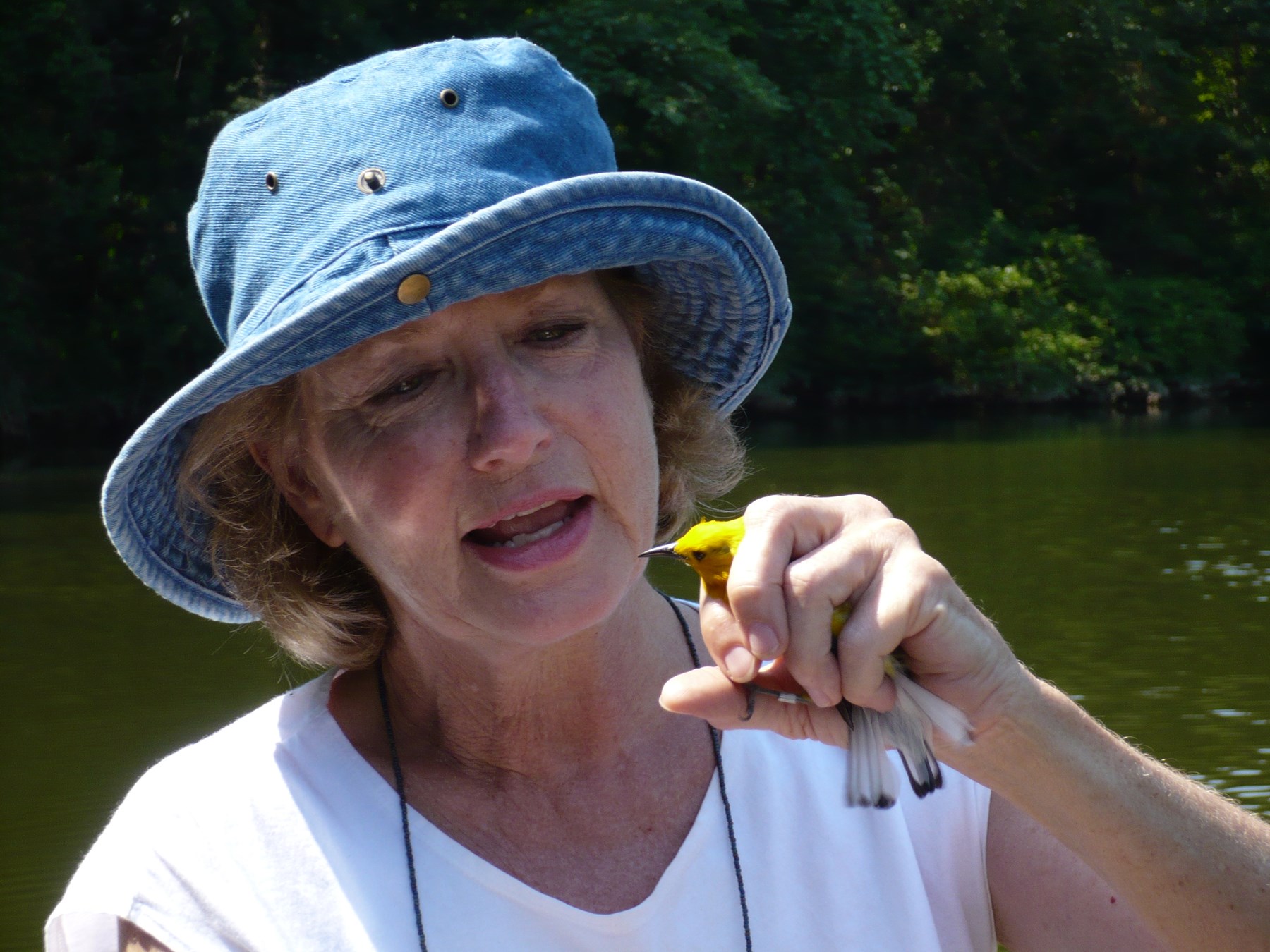 Obituary of Sandra Throckmorton Alexander-Shastid