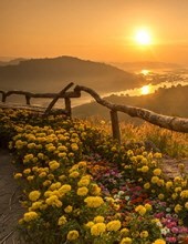 Obituary of Barry S. Ramey