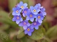 Obituary of Waldtraut "Wally"  Christopher